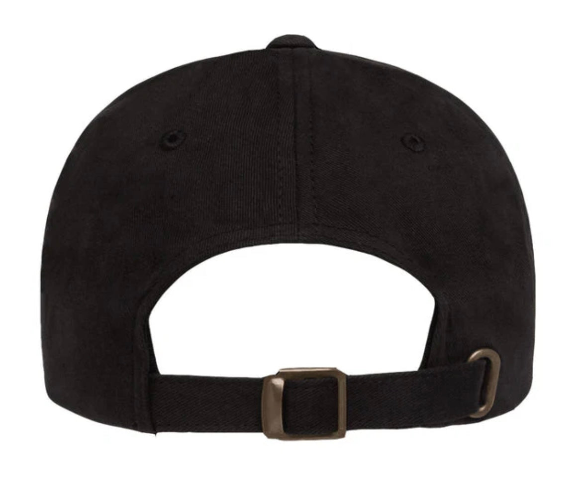 LION (Small Logo) Hat